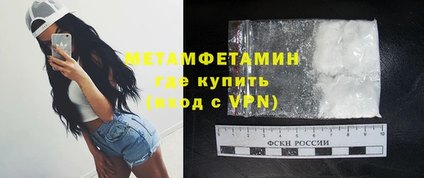 ПСИЛОЦИБИНОВЫЕ ГРИБЫ Богданович
