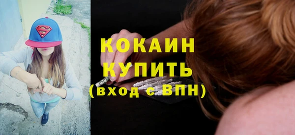 ПСИЛОЦИБИНОВЫЕ ГРИБЫ Богданович