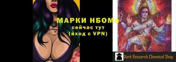 трава Белокуриха