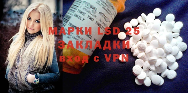 ПСИЛОЦИБИНОВЫЕ ГРИБЫ Богданович