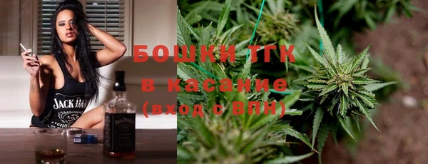ПСИЛОЦИБИНОВЫЕ ГРИБЫ Богданович