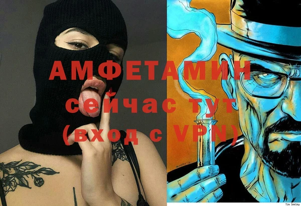ПСИЛОЦИБИНОВЫЕ ГРИБЫ Богданович